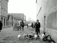 Opatovina, umjetnička fotografija nepoznatog autora